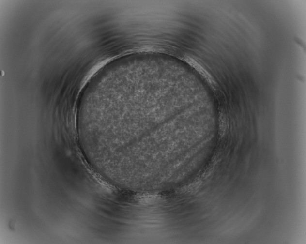 X0000090990886200708241423