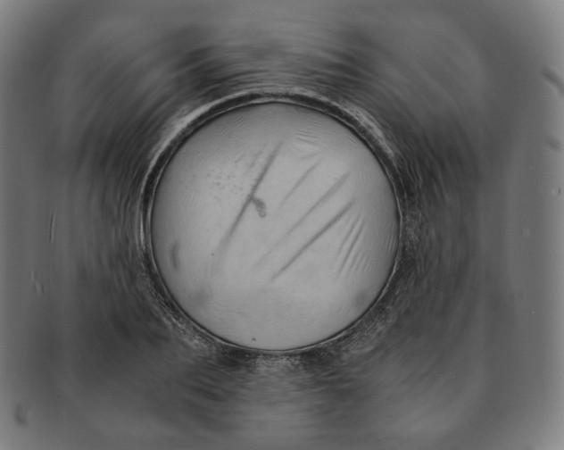 X0000090990887200708241423