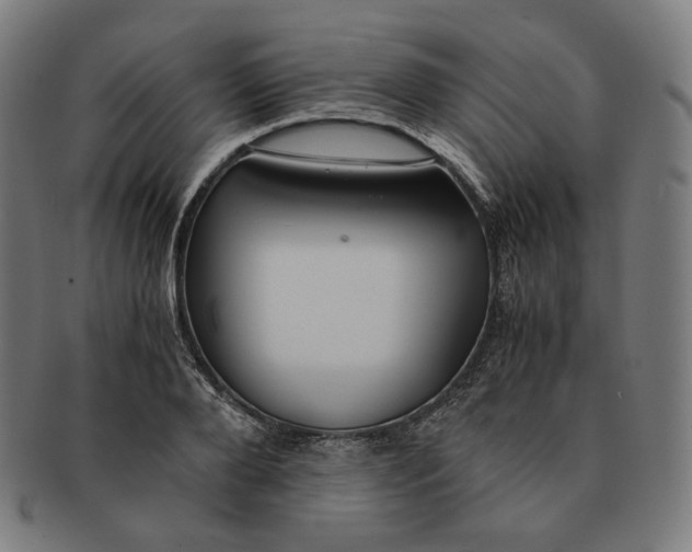 X0000090990888200708241423