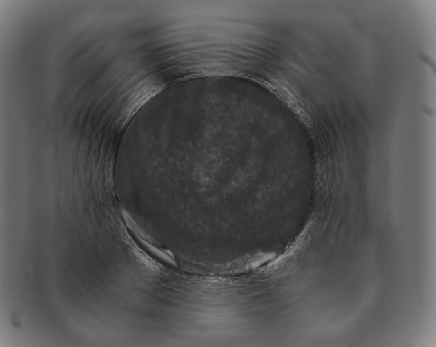 X0000090990889200708241423