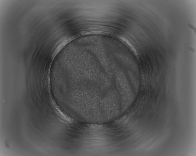 X0000090990890200708241423