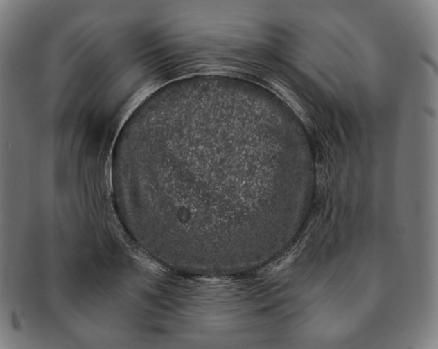 X0000090990891200708241423