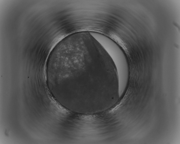 X0000090990892200708241423