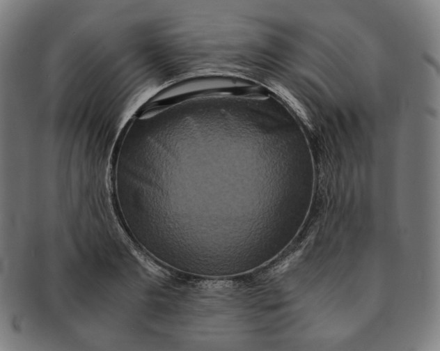 X0000090990893200708241423