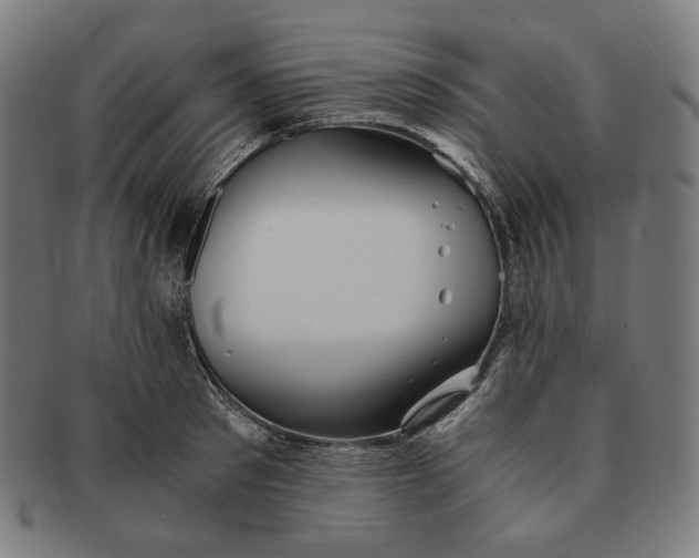 X0000090990897200708241423