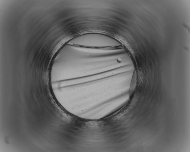 X0000090990898200708241423