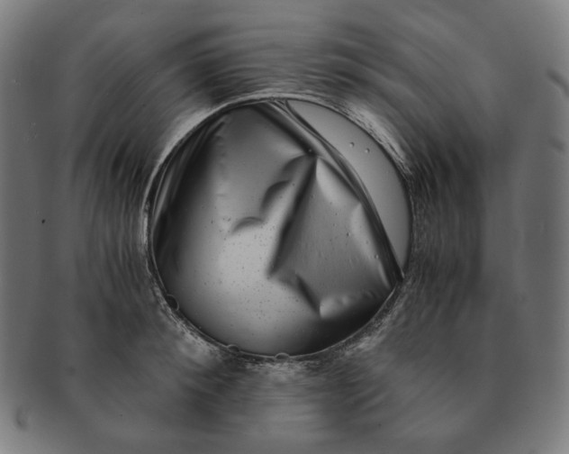 X0000090990900200708241423