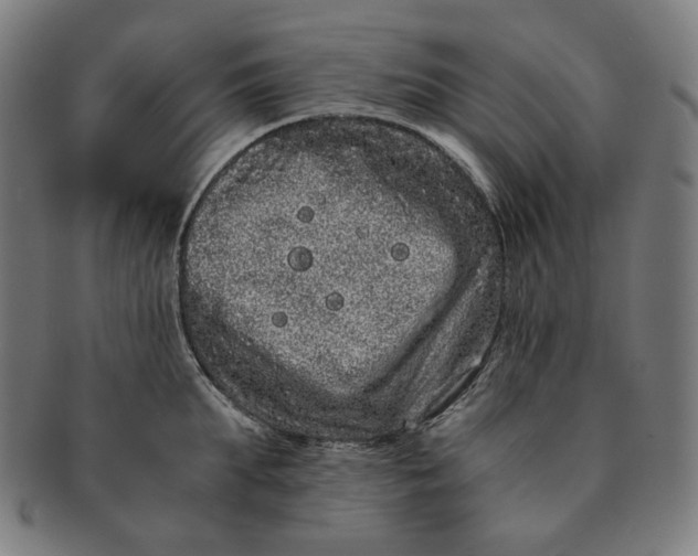 X0000090990903200708241423