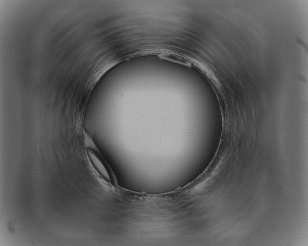 X0000090990905200708241423