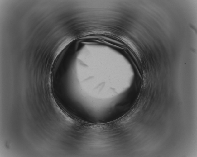 X0000090990906200708241423