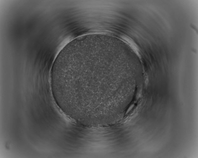 X0000090990907200708241423