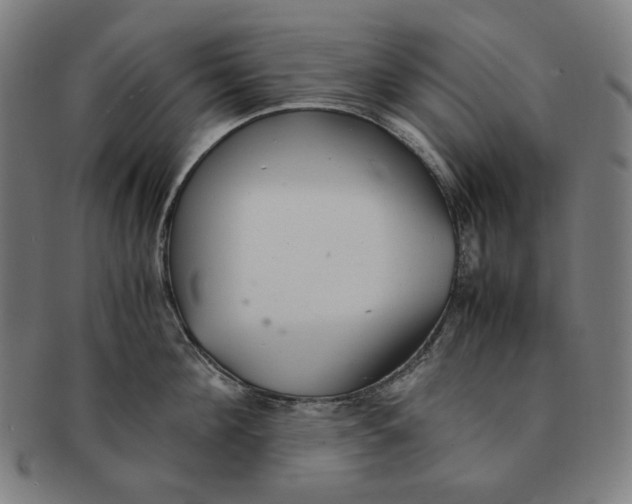 X0000090990908200708241423