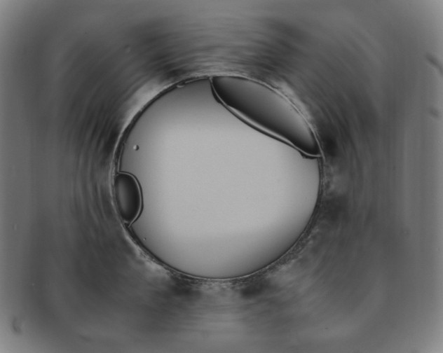 X0000090990909200708241423