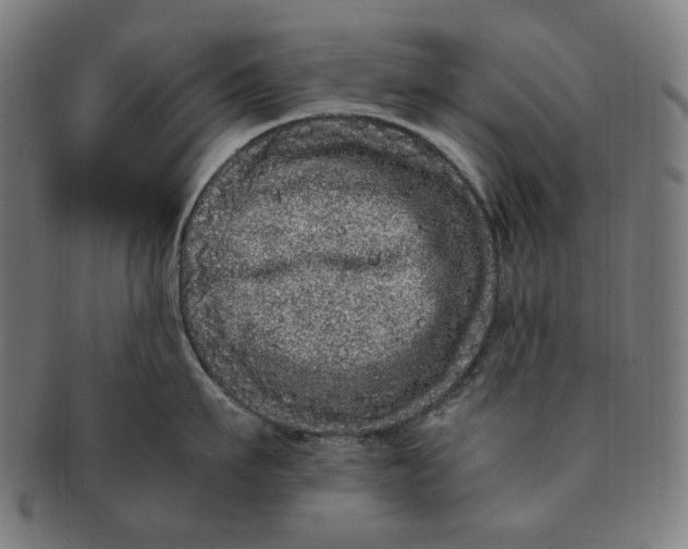 X0000090990911200708241423