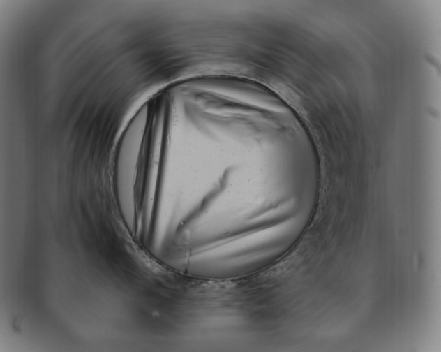 X0000090990912200708241423