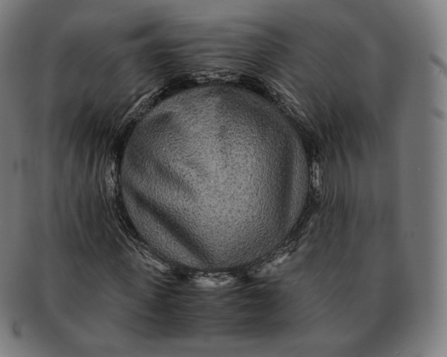 X0000090990915200708241422