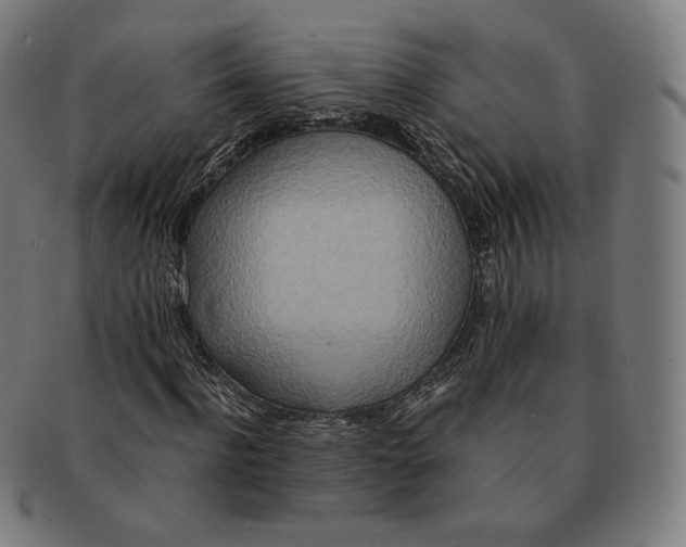 X0000090990916200708241422