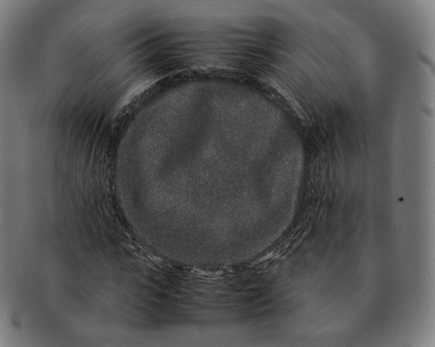 X0000090990919200708241422