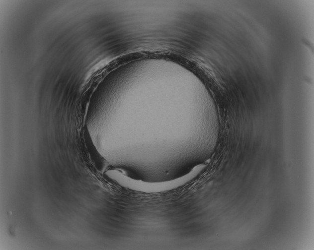 X0000090990920200708241422