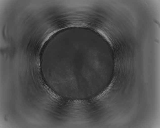 X0000090990923200708241422