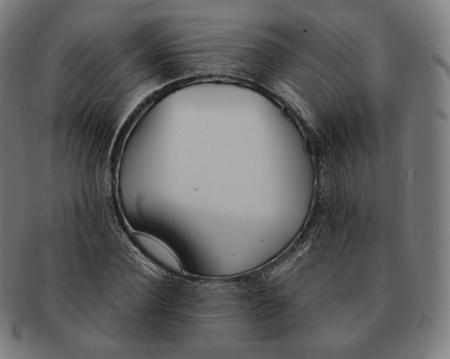 X0000090990924200708241422