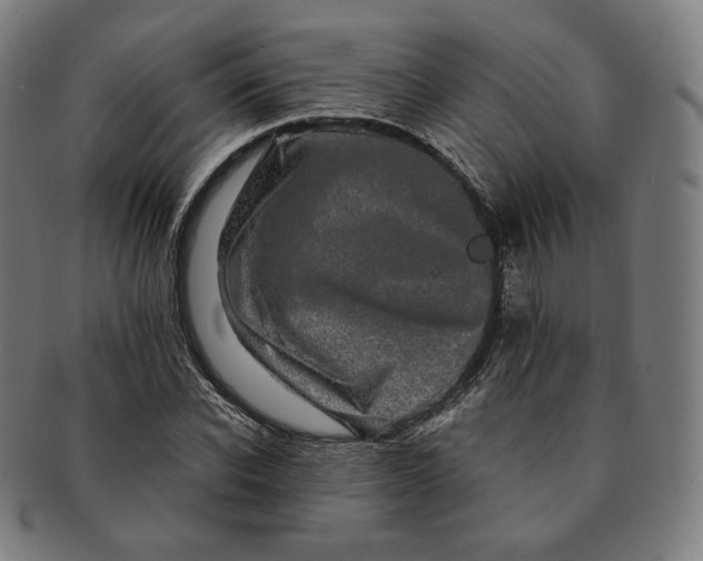 X0000090990926200708241422