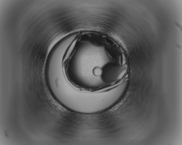 X0000090990928200708241422