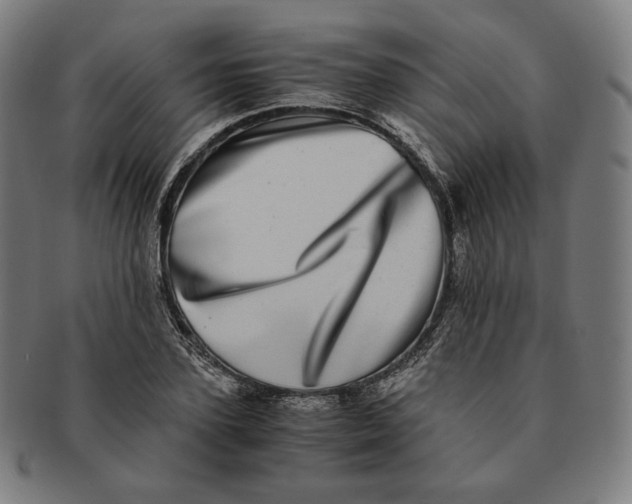 X0000090990931200708241422