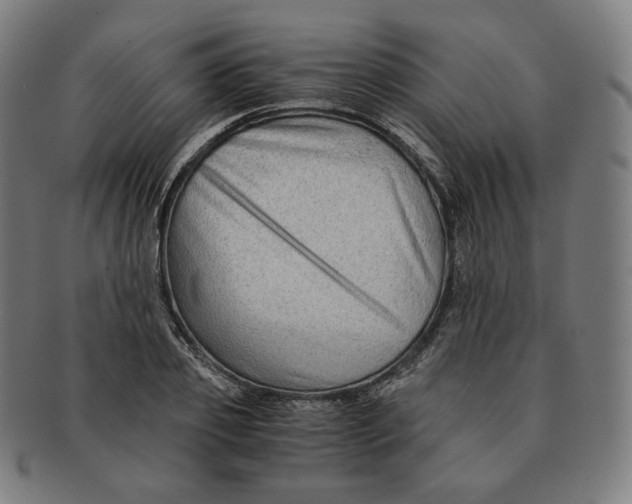 X0000090990933200708241422