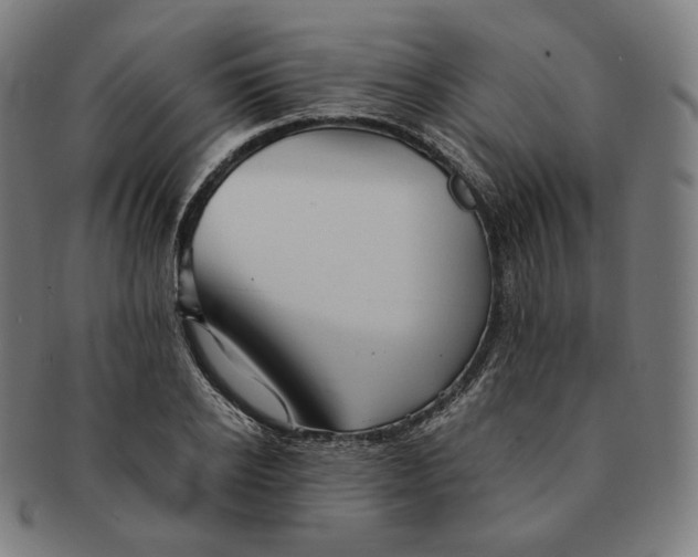 X0000090990934200708241422