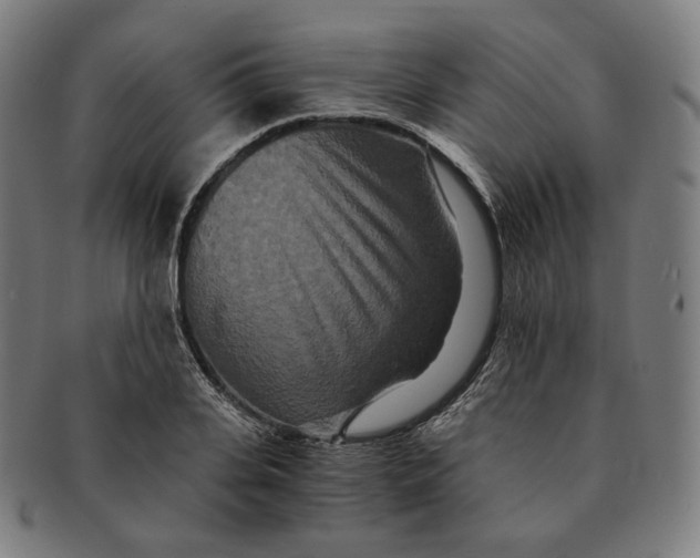 X0000090990935200708241422