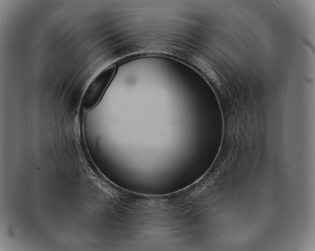 X0000090990936200708241422