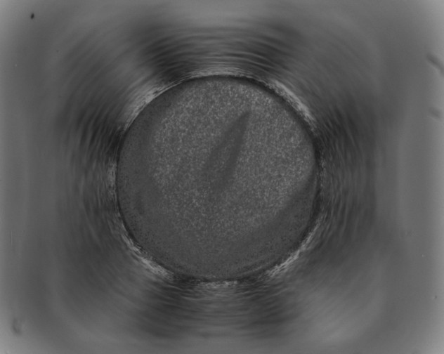 X0000090990937200708241422