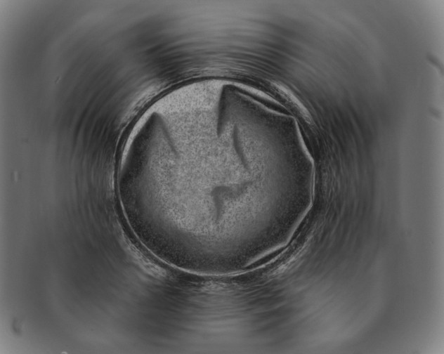 X0000090990938200708241422