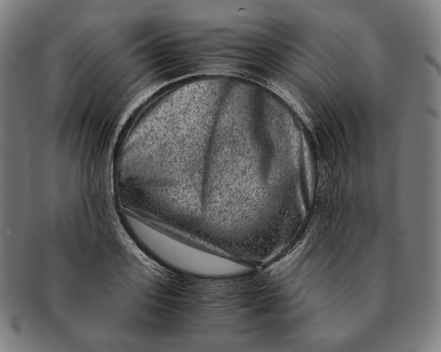 X0000090990939200708241422