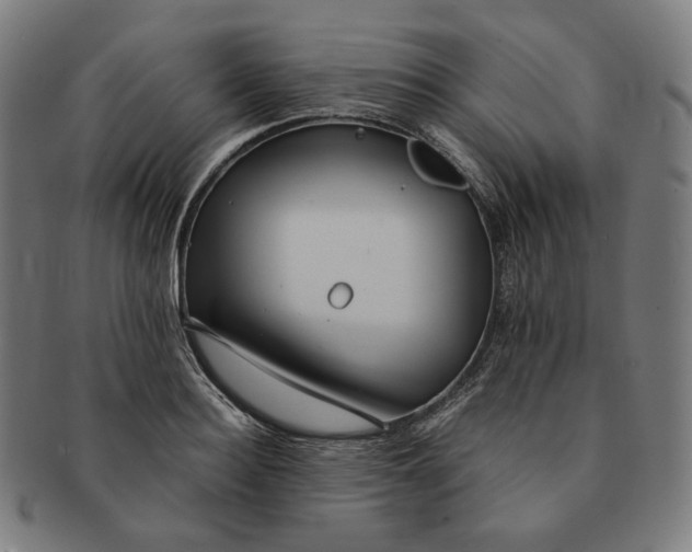 X0000090990940200708241422