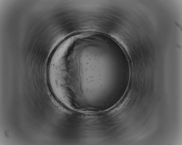 X0000090990941200708241422