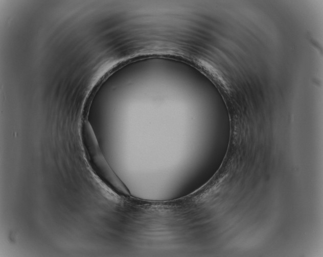 X0000090990942200708241422