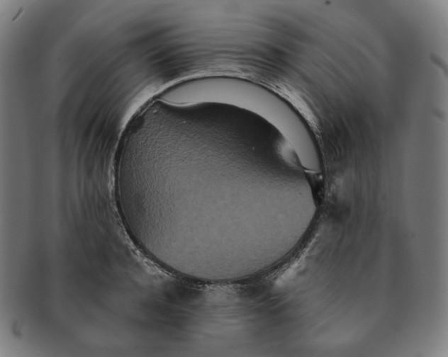 X0000090990944200708241422