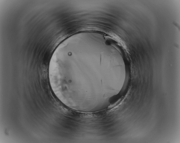 X0000090990945200708241422