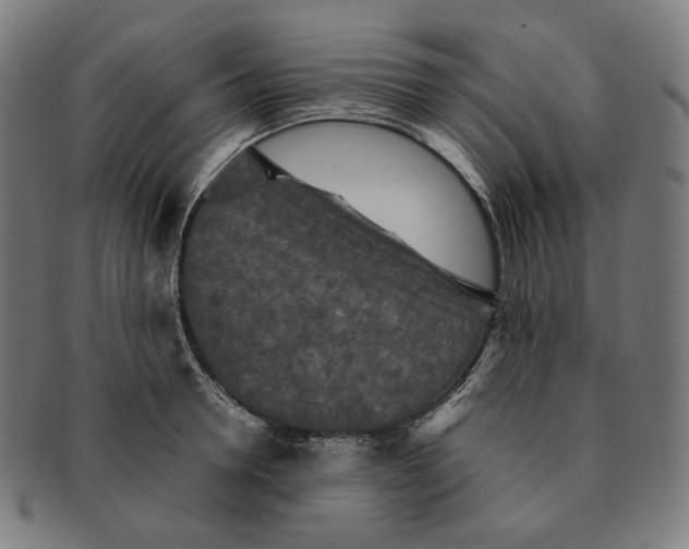 X0000090990946200708241422