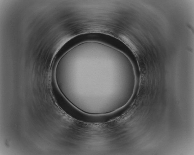 X0000090990948200708241422