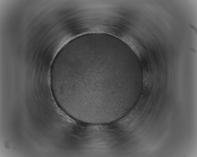 X0000090990950200708241423