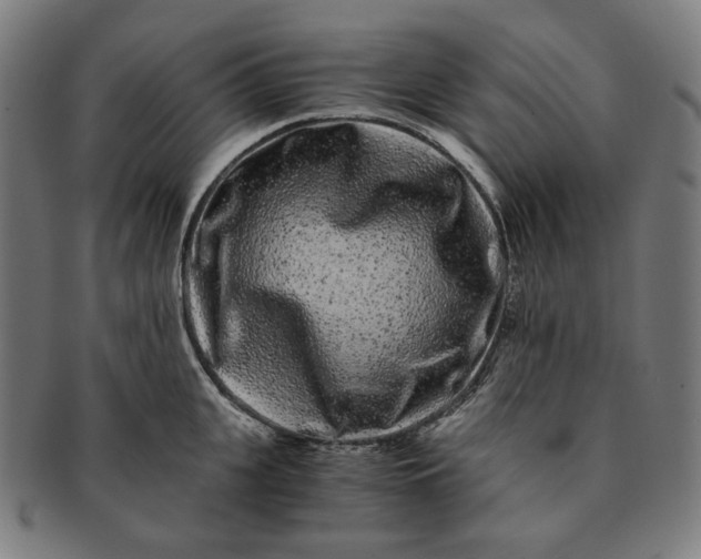 X0000090990951200708241423