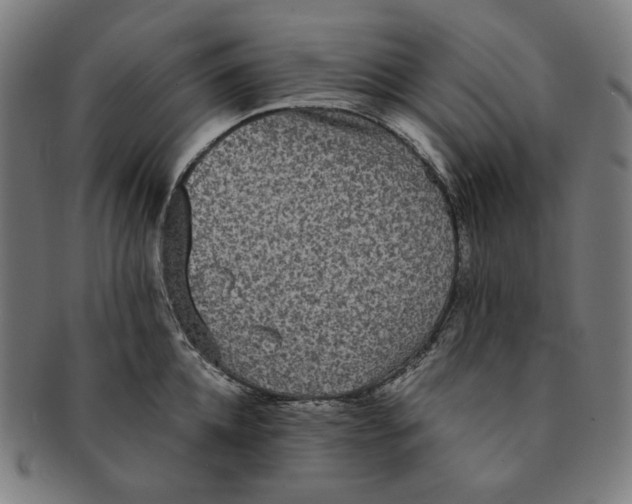 X0000090990952200708241423