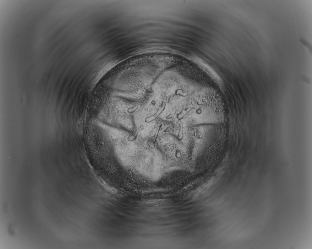 X0000090990953200708241423