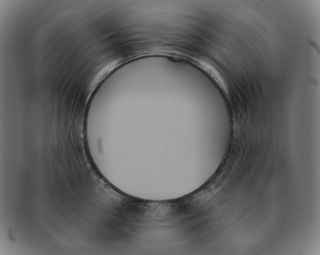 X0000090990954200708241423