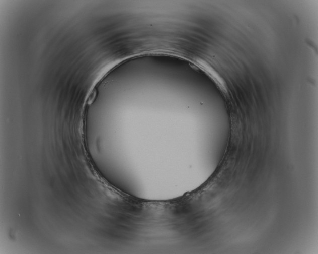 X0000090990956200708241423