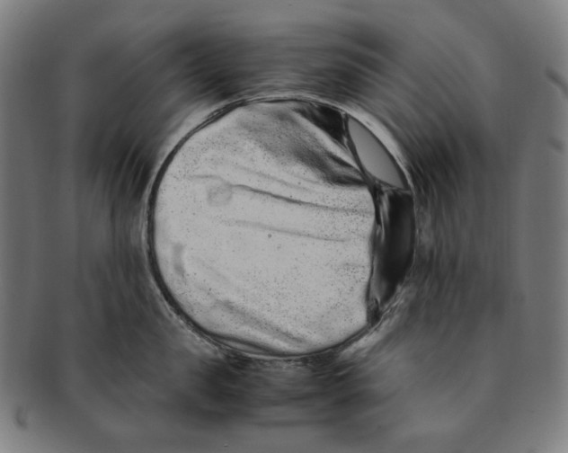 X0000090990957200708241423