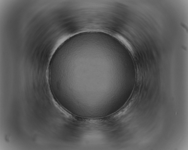 X0000090990958200708241423